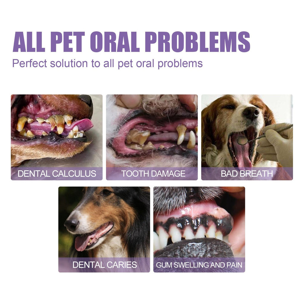 Oral Care Gel for Dogs & Cats — Teeth Cleaning & Hygiene
