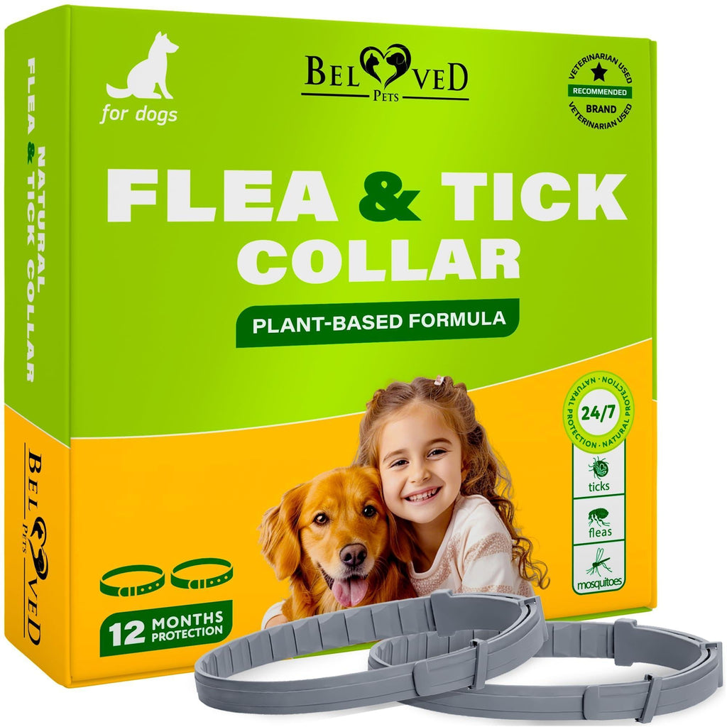 Flea & Tick Collar for Dogs — 6-Month Protection, 2-Pack