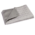 Pet Cooling Mat — Ice Silk Pad for Dogs & Cats