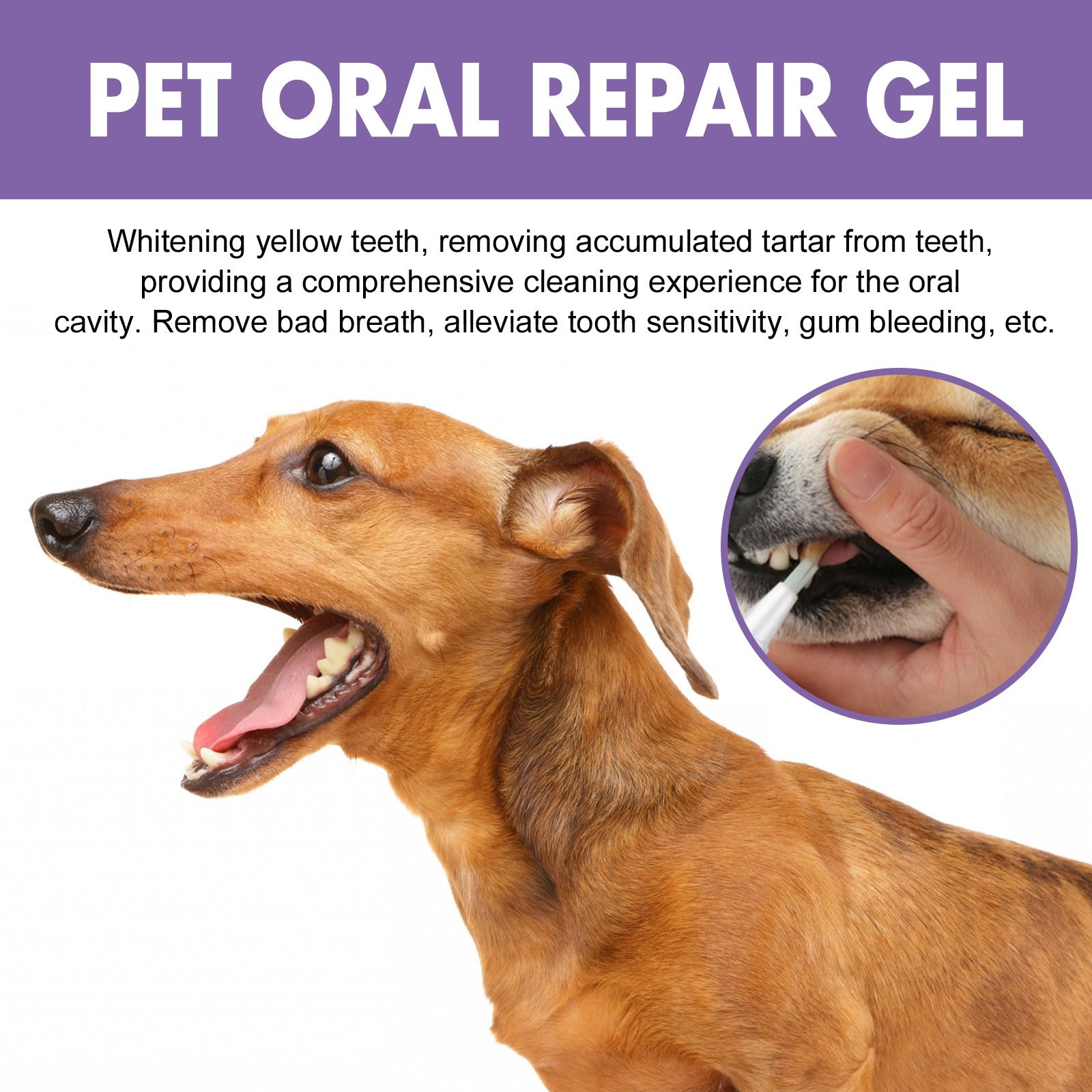 Oral Care Gel for Dogs & Cats — Teeth Cleaning & Hygiene