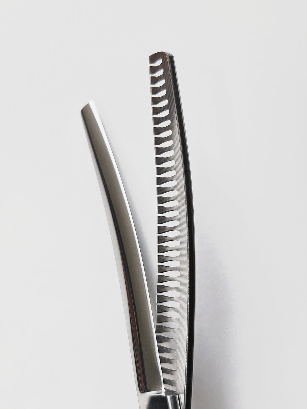 Curved Blending Shear for Dogs & Cats