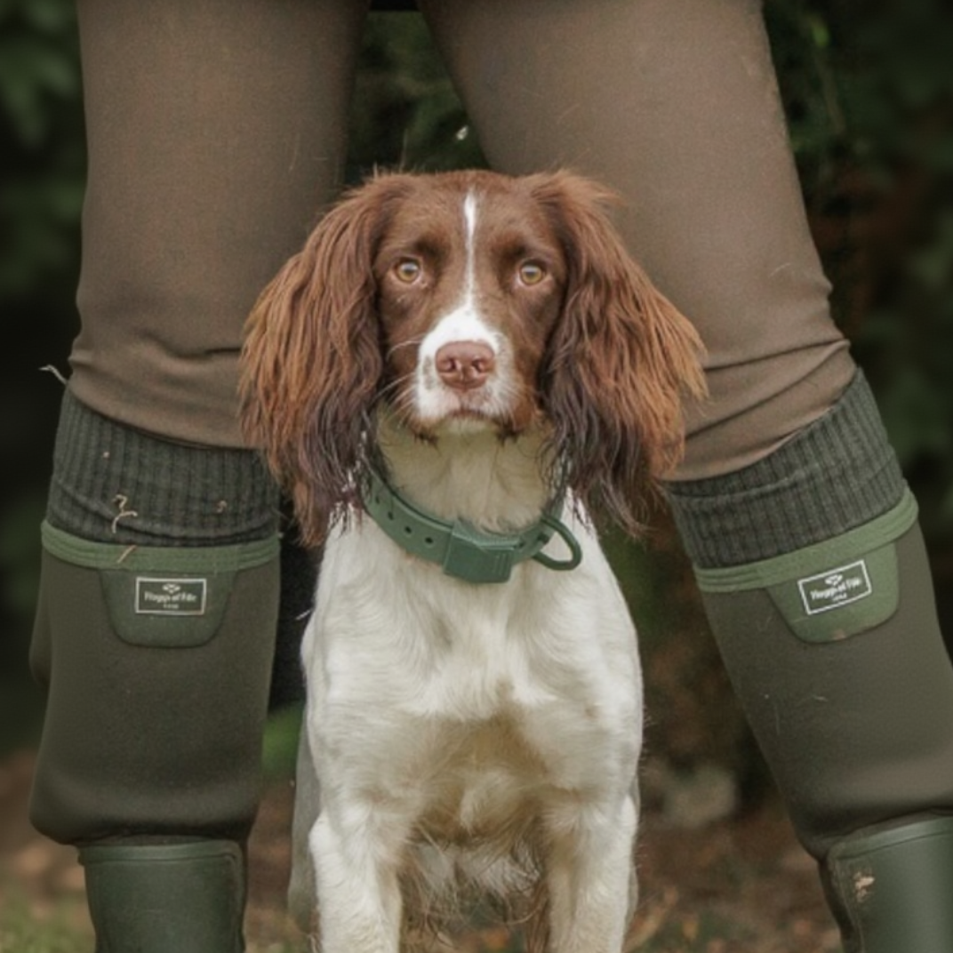 Field Dog Collar — Durable Everyday Collar