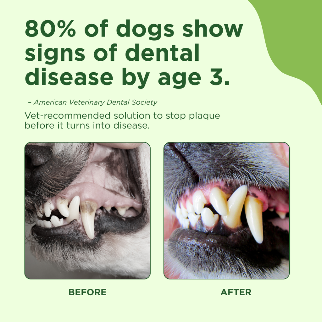 Oral Care Spray for Dogs & Cats — Fresh Breath Formula