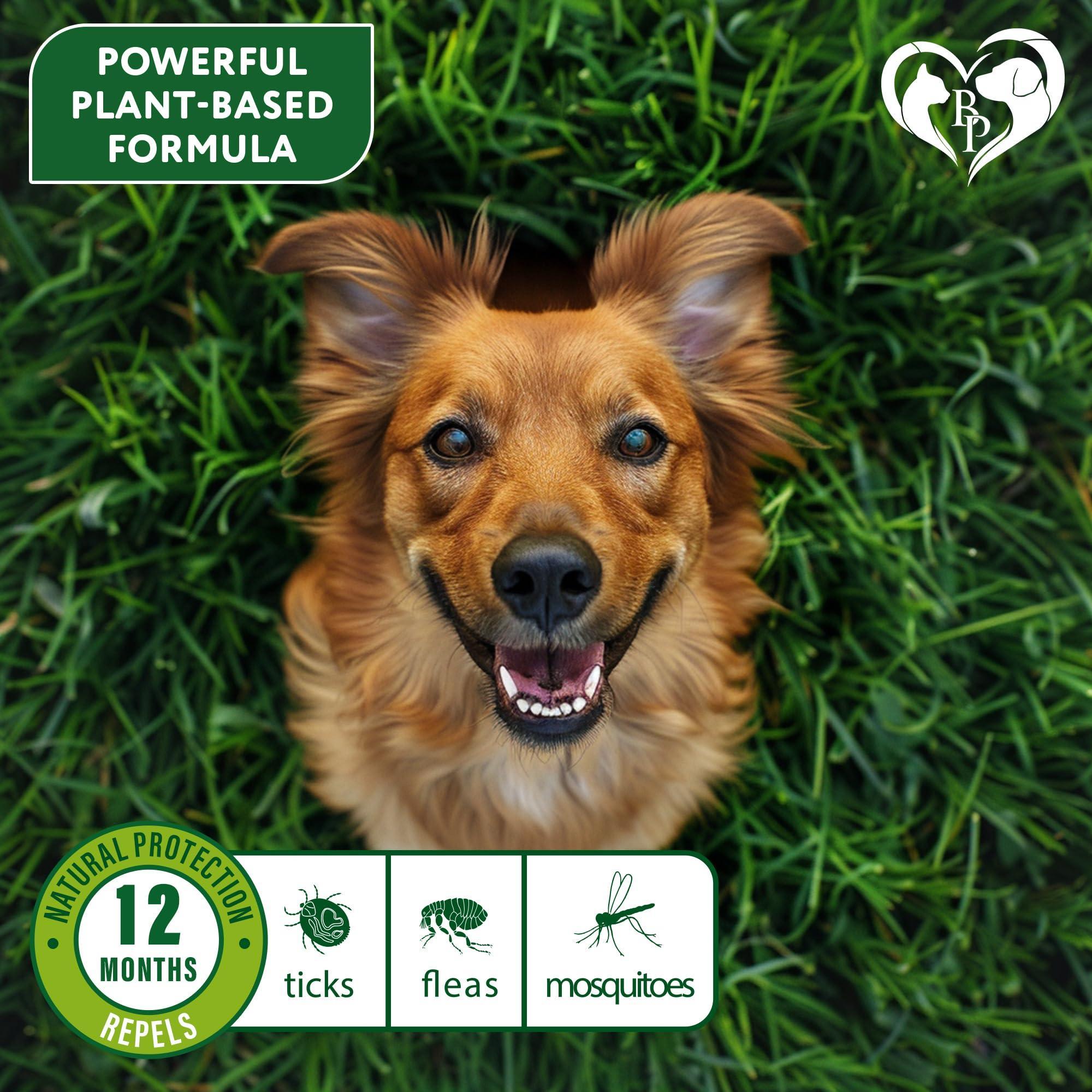 Flea & Tick Collar for Dogs — 6-Month Protection, 2-Pack