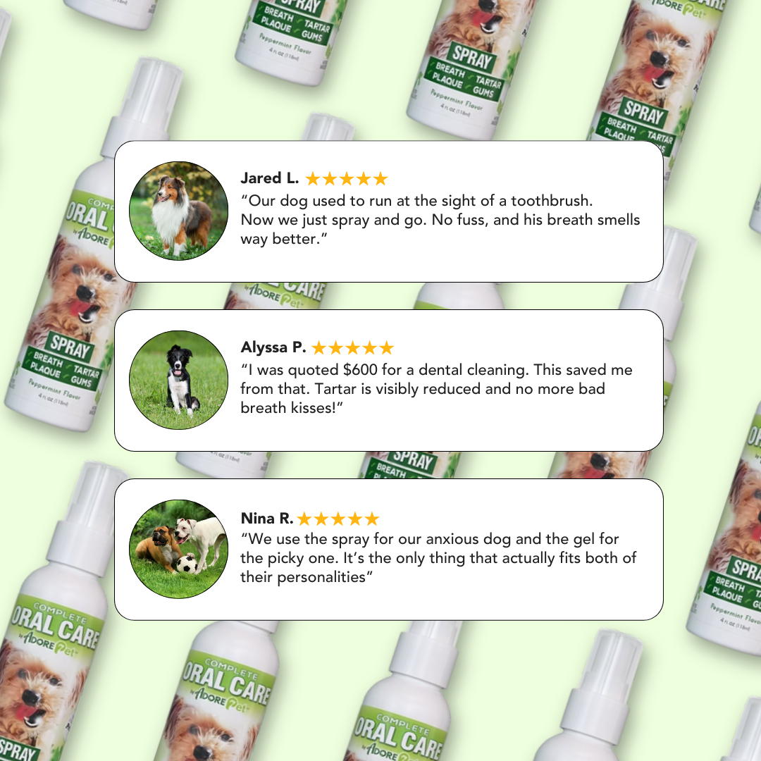 Oral Care Spray for Dogs & Cats — Fresh Breath Formula