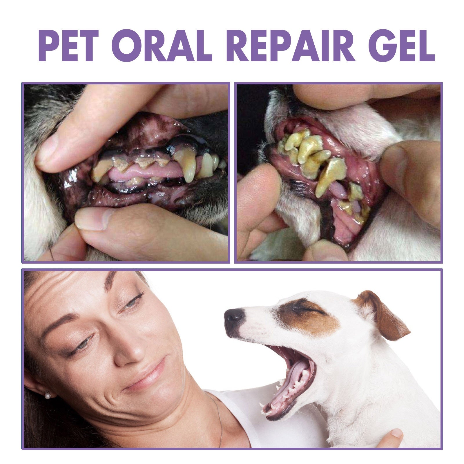 Oral Care Gel for Dogs & Cats — Teeth Cleaning & Hygiene