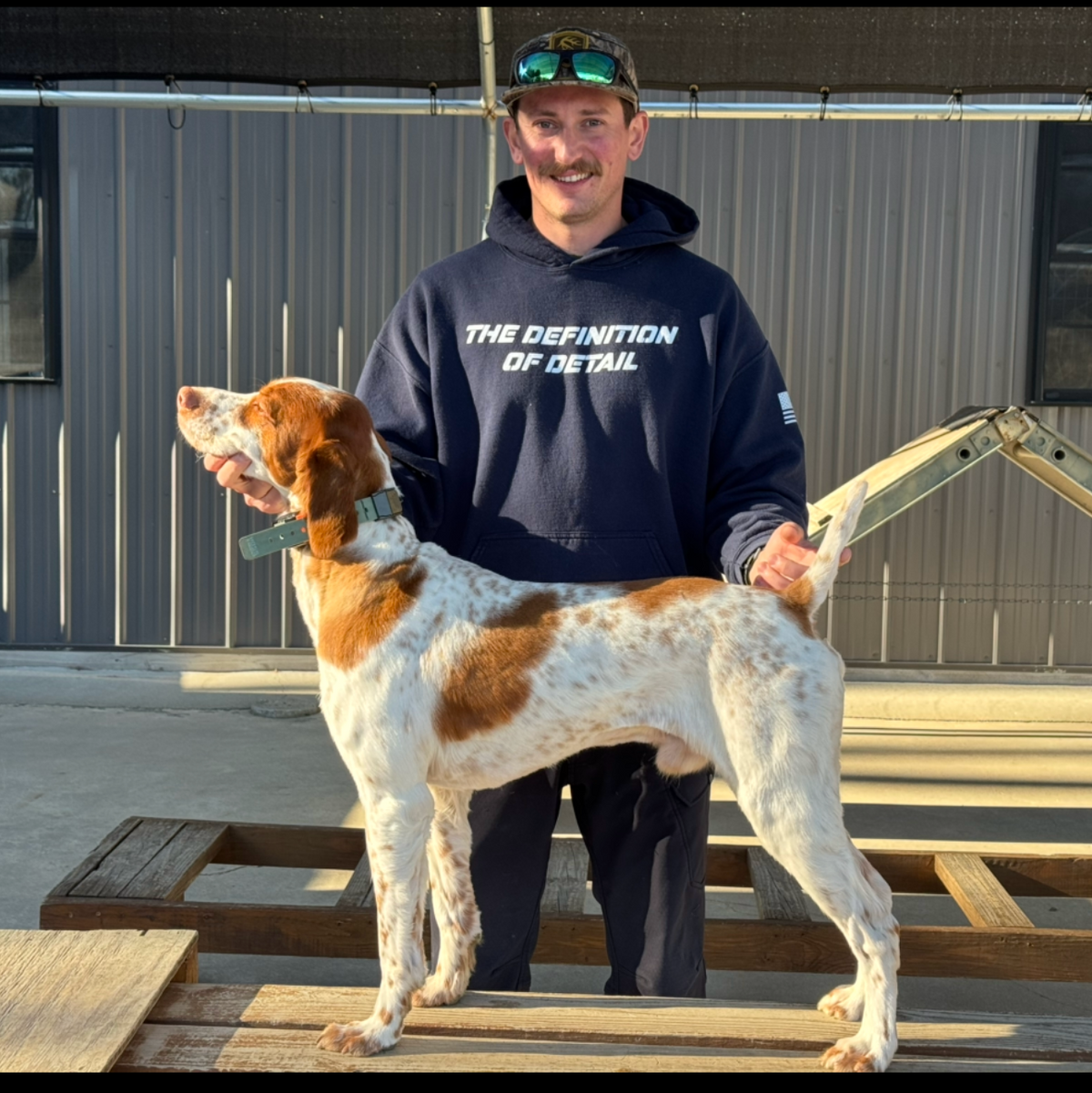 Field Dog Collar — Durable Everyday Collar
