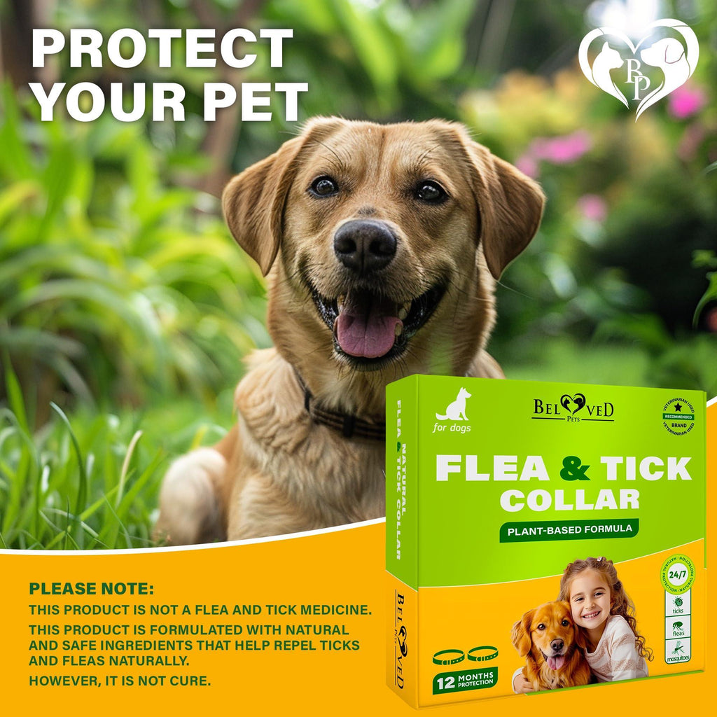Flea & Tick Collar for Dogs — 6-Month Protection, 2-Pack