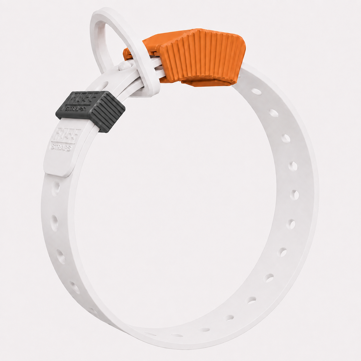 Field Dog Collar — Durable Everyday Collar