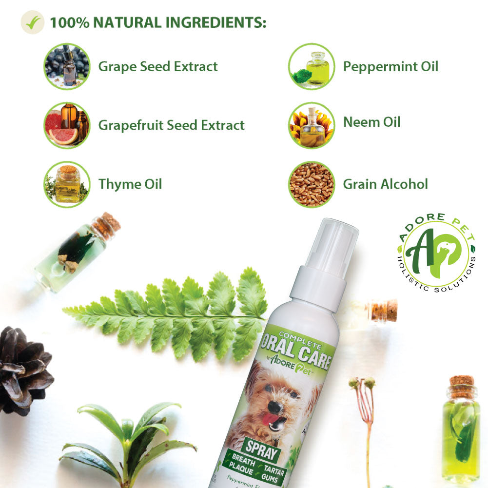 Oral Care Spray for Dogs & Cats — Fresh Breath Formula