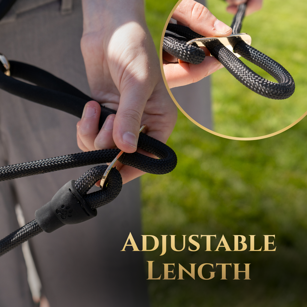 Hands-Free No-Pull Dog Leash