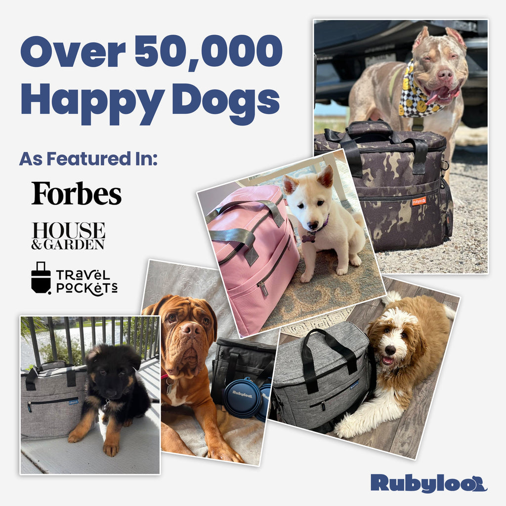 Dog Travel Bag — Organized Pet Supply Tote