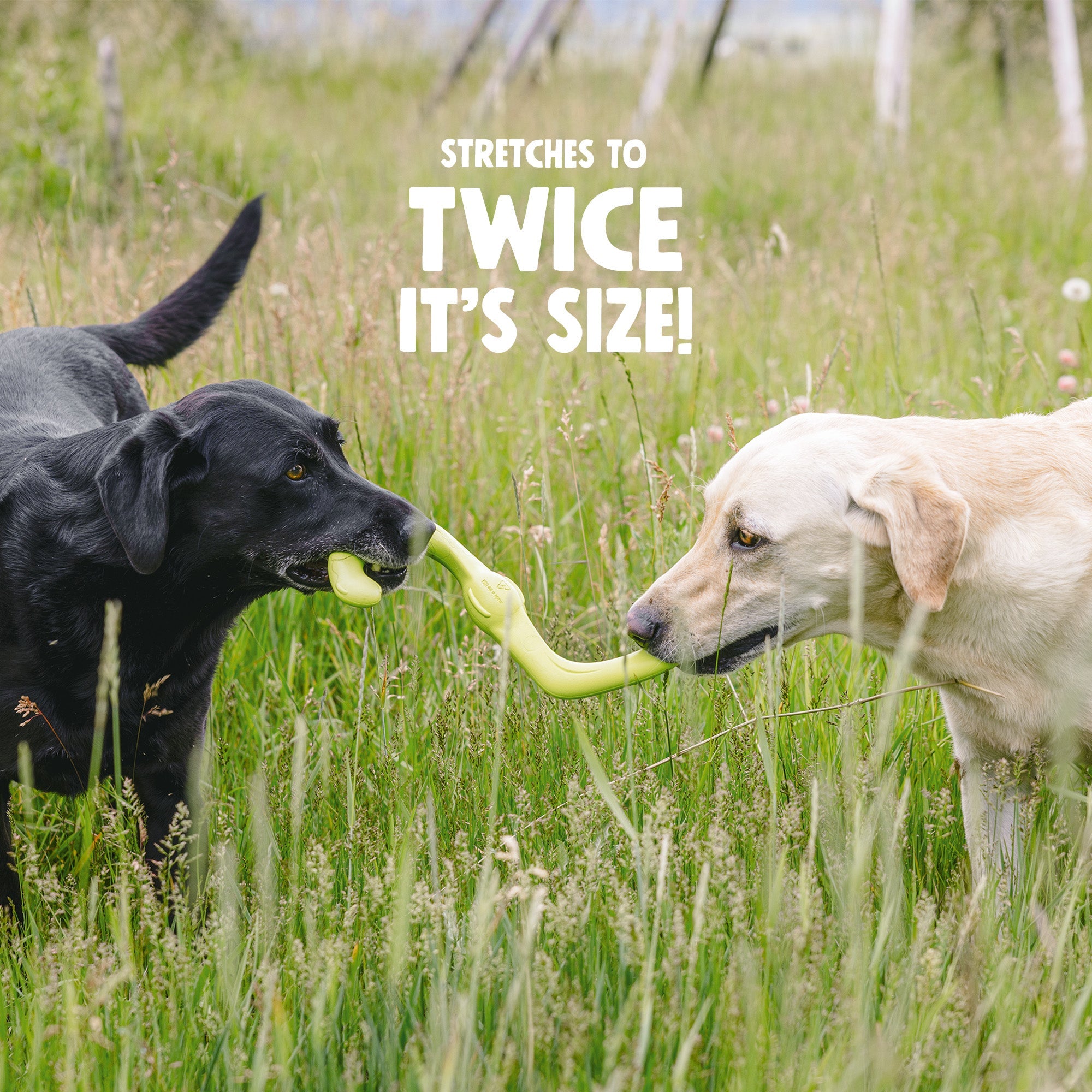Bumi Stretchy Tug Toy for Dogs
