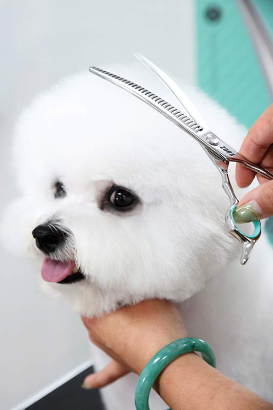 Curved Blending Shear for Dogs & Cats
