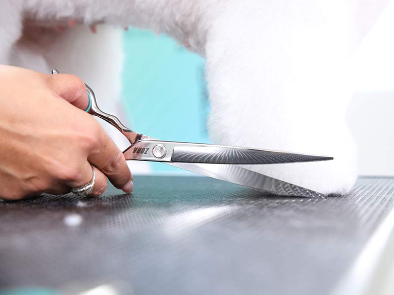 Curved Grooming Shear for Dogs & Cats