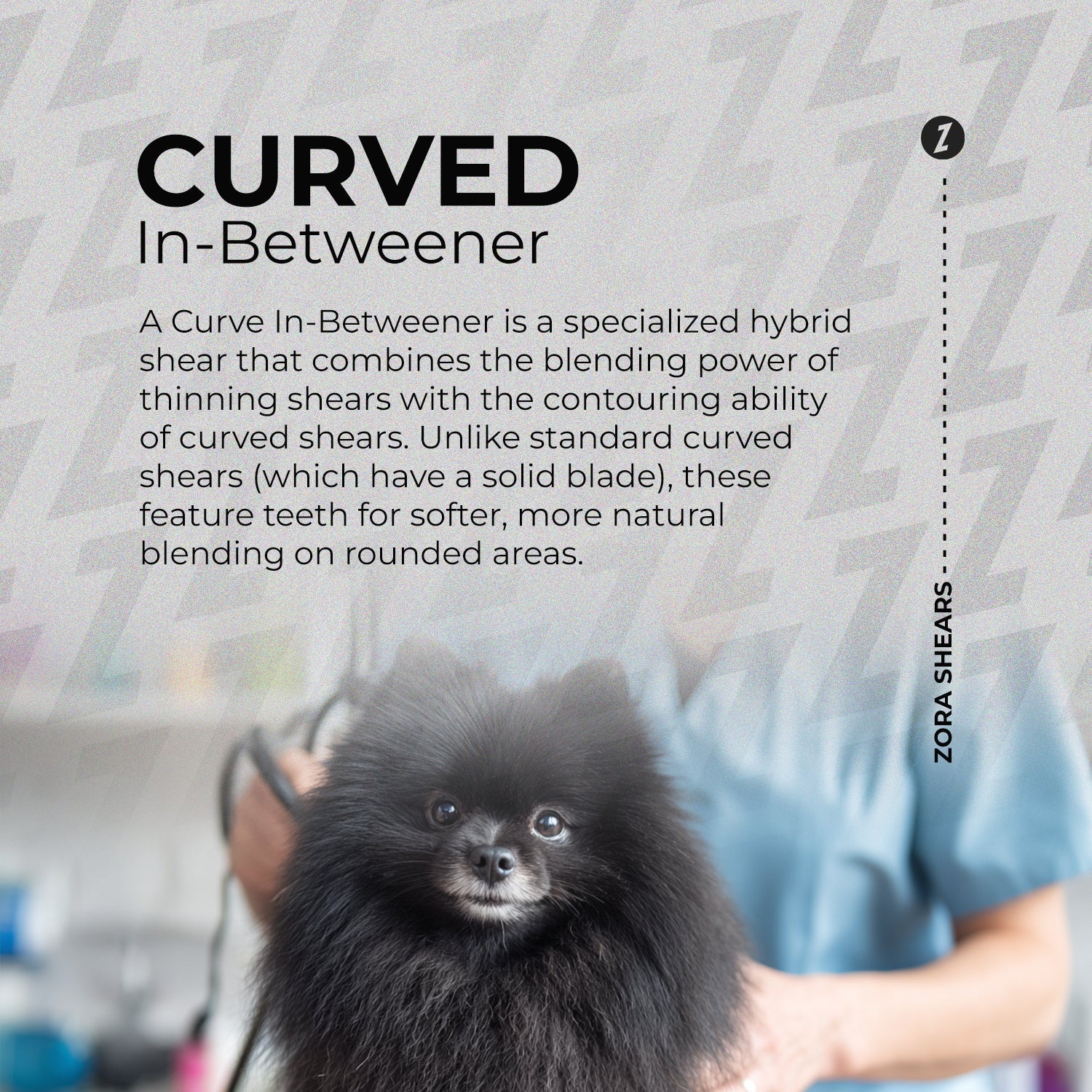 Curved Blending Shear for Dogs & Cats