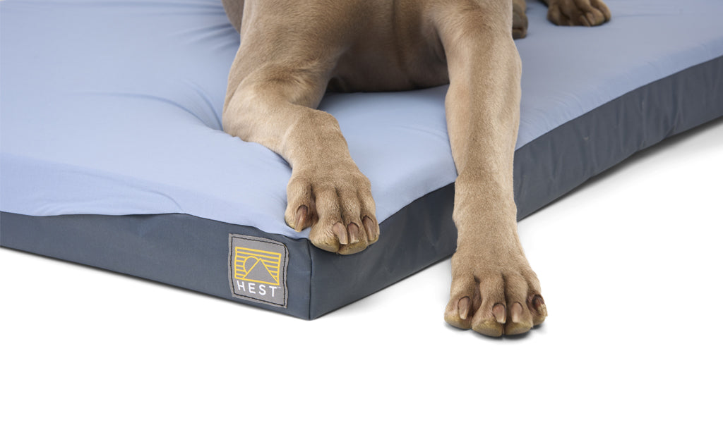 Premium Dog Bed — Supportive Memory Foam Mattress