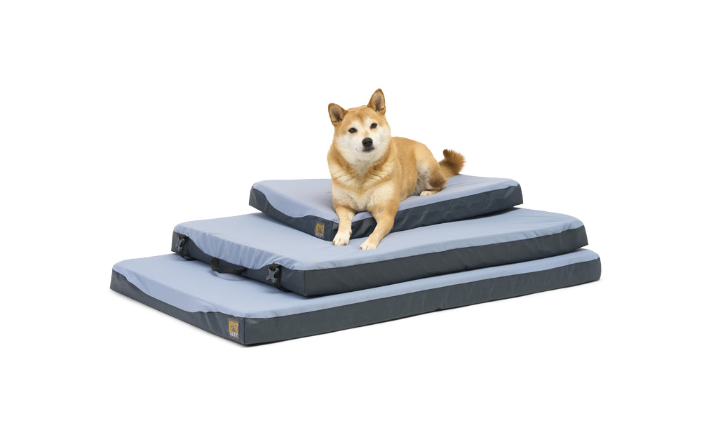Premium Dog Bed — Supportive Memory Foam Mattress