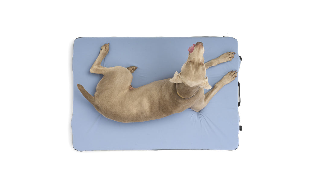 Premium Dog Bed — Supportive Memory Foam Mattress