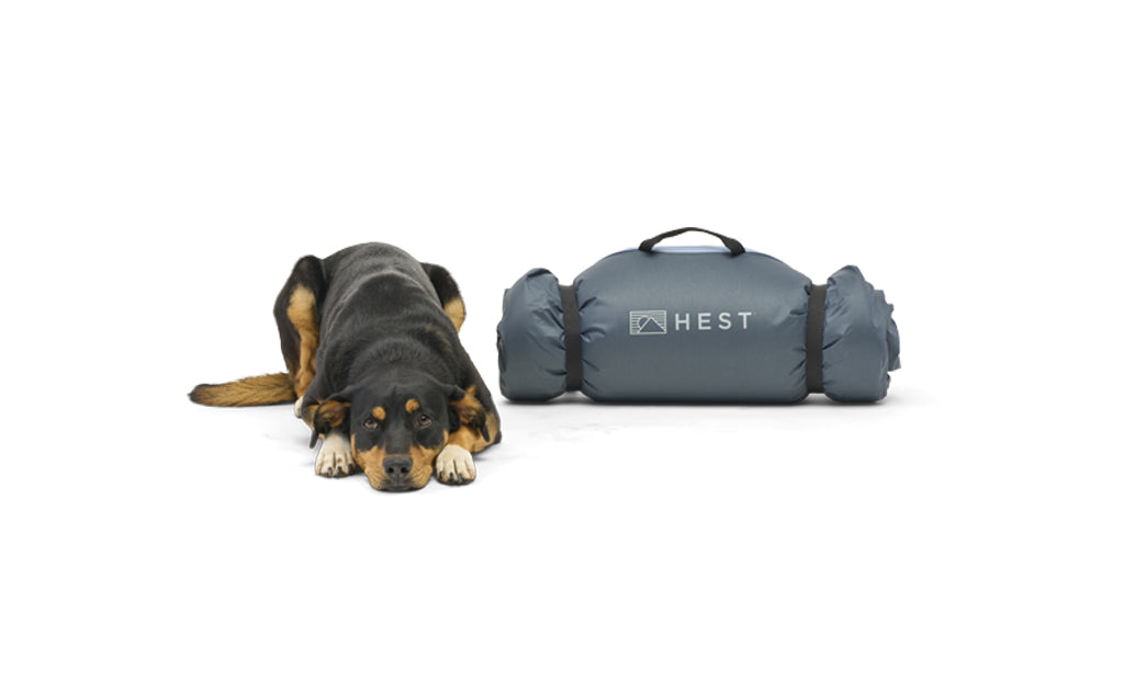 Premium Dog Bed — Supportive Memory Foam Mattress