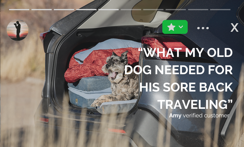 Premium Dog Bed — Supportive Memory Foam Mattress
