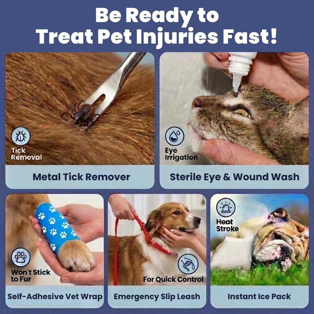 Pet First Aid Kit for Dogs & Cats — Vet-Approved Essentials