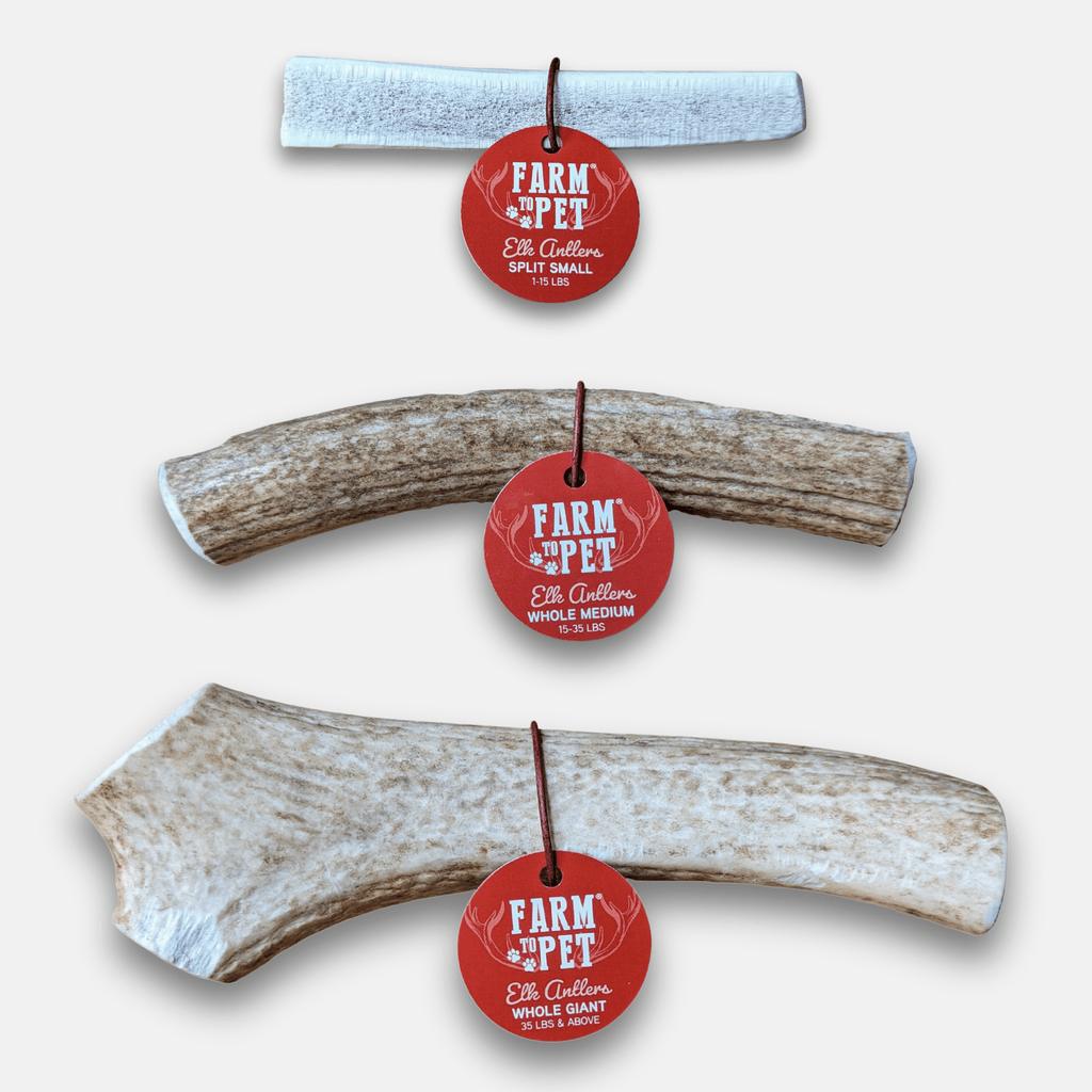 All-Natural Elk Antler Chews for Dogs