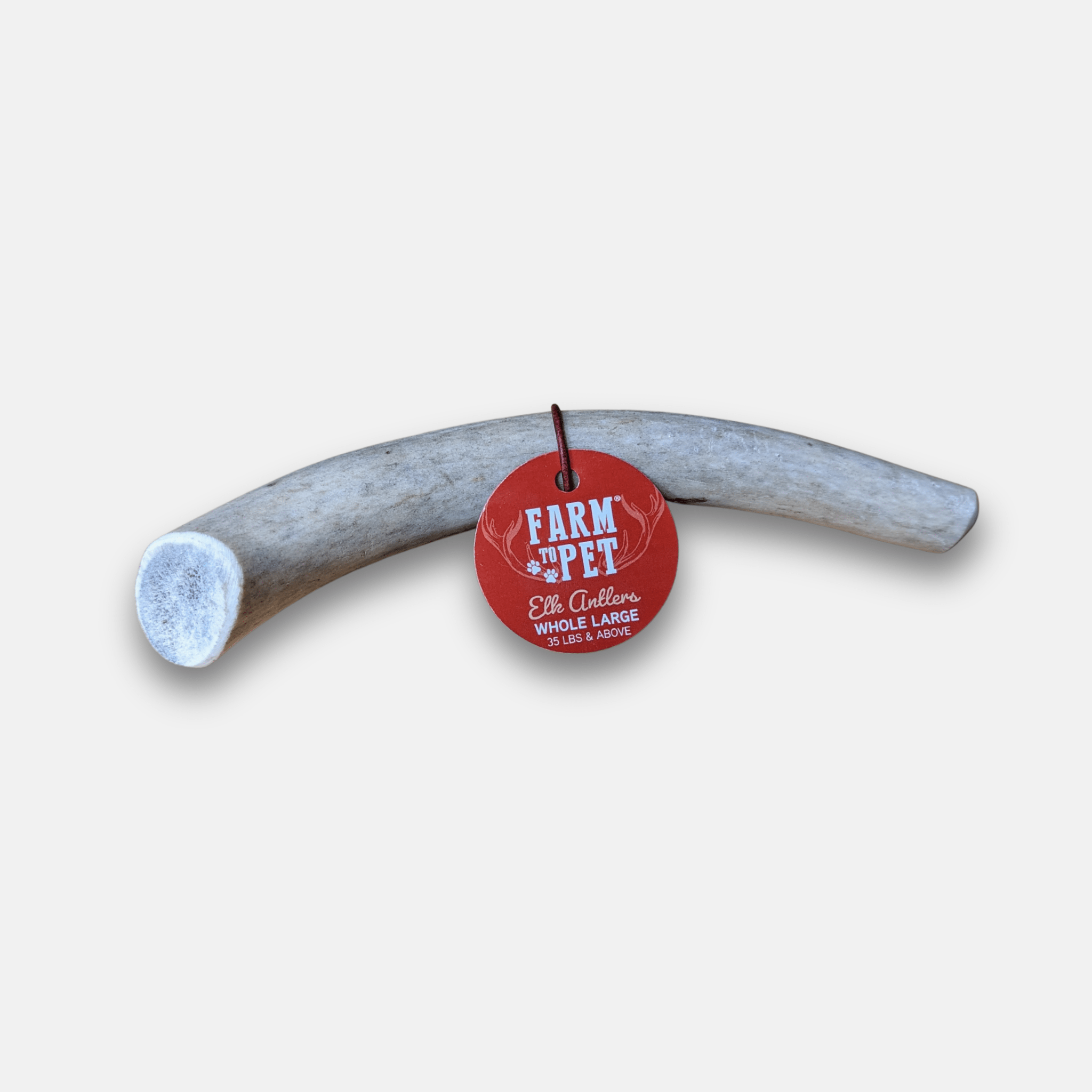 All-Natural Elk Antler Chews for Dogs