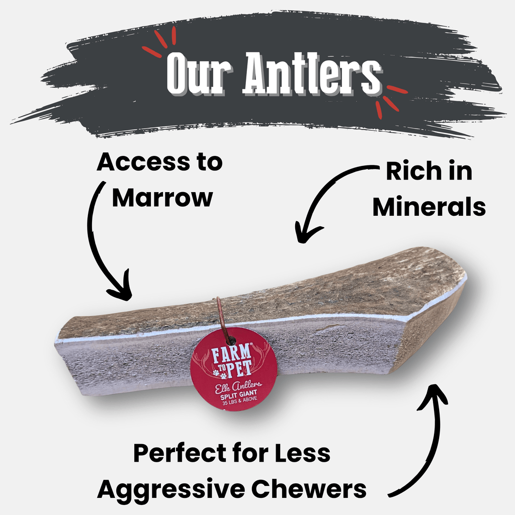 All-Natural Elk Antler Chews for Dogs