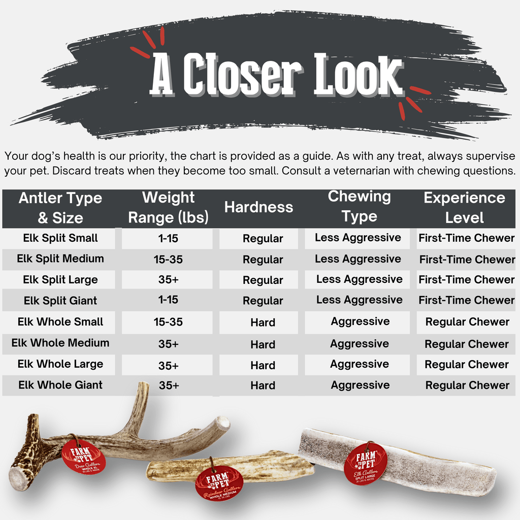 All-Natural Elk Antler Chews for Dogs