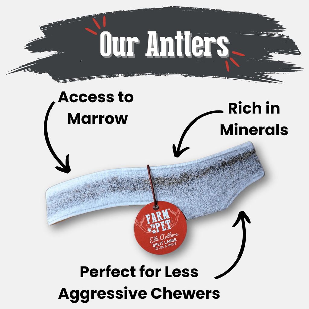 All-Natural Elk Antler Chews for Dogs