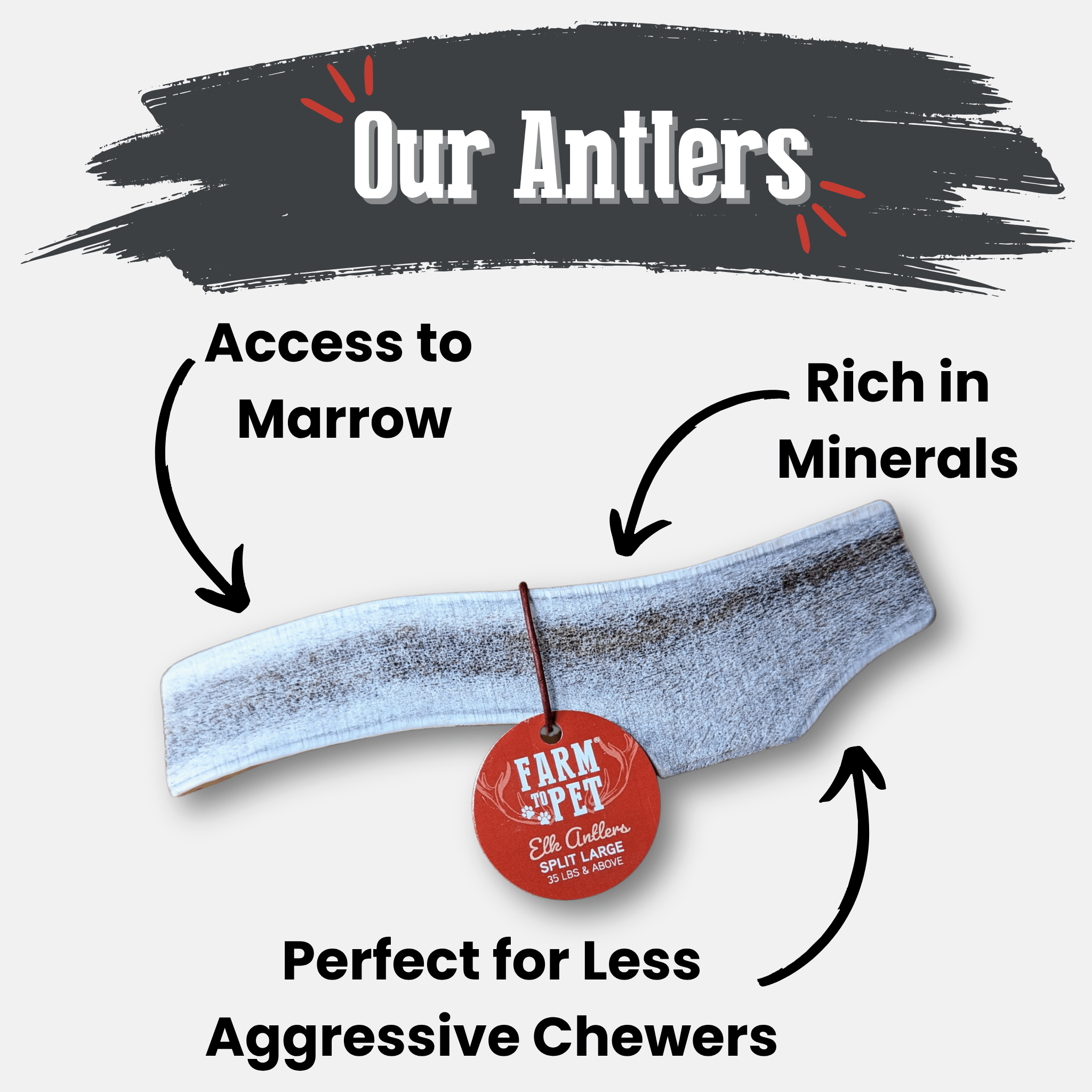 All-Natural Elk Antler Chews for Dogs