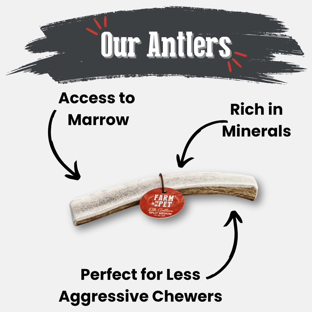 All-Natural Elk Antler Chews for Dogs