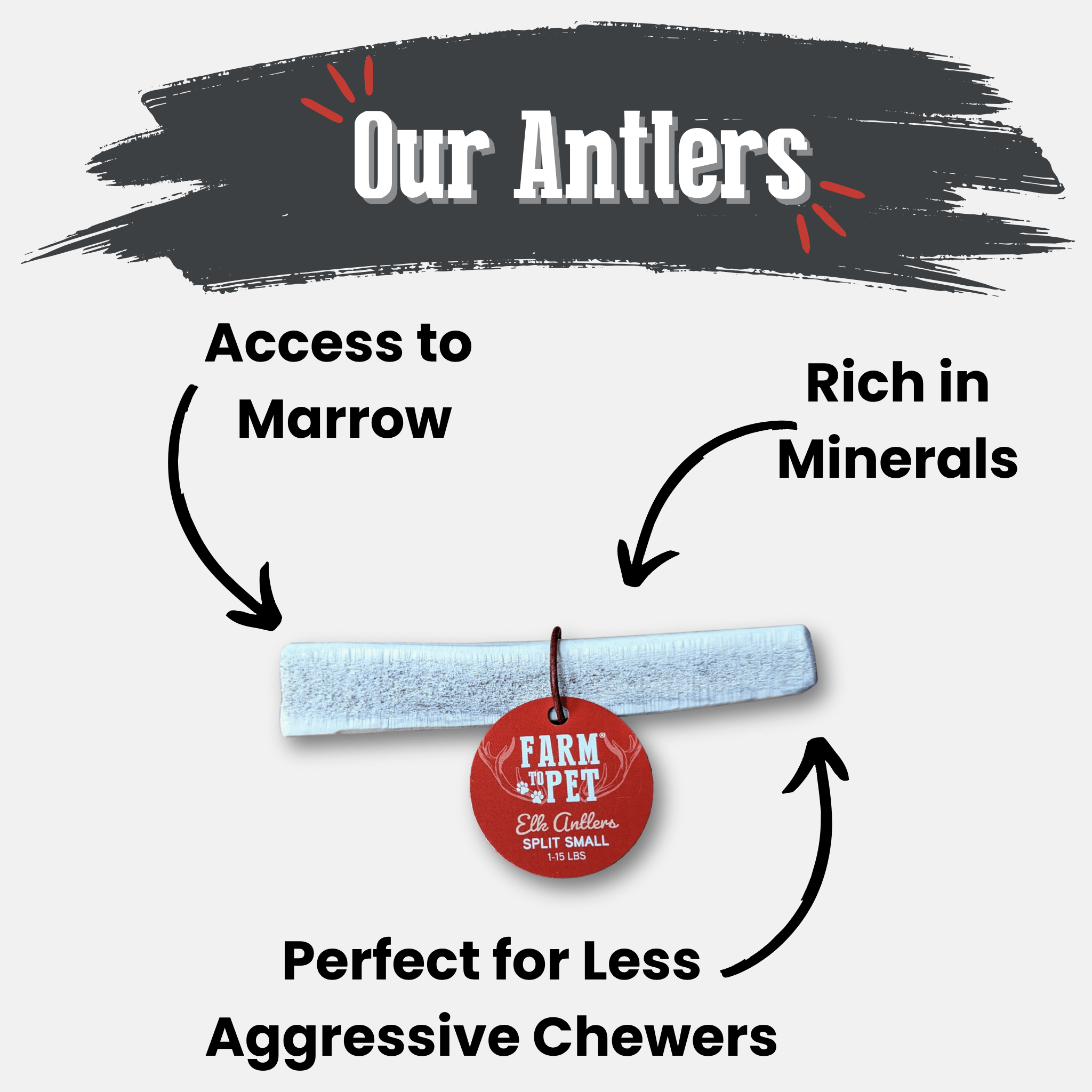 All-Natural Elk Antler Chews for Dogs