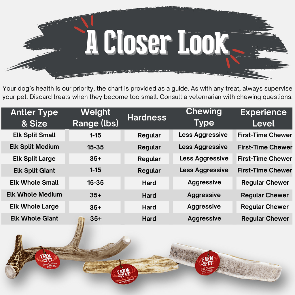 All-Natural Elk Antler Chews for Dogs