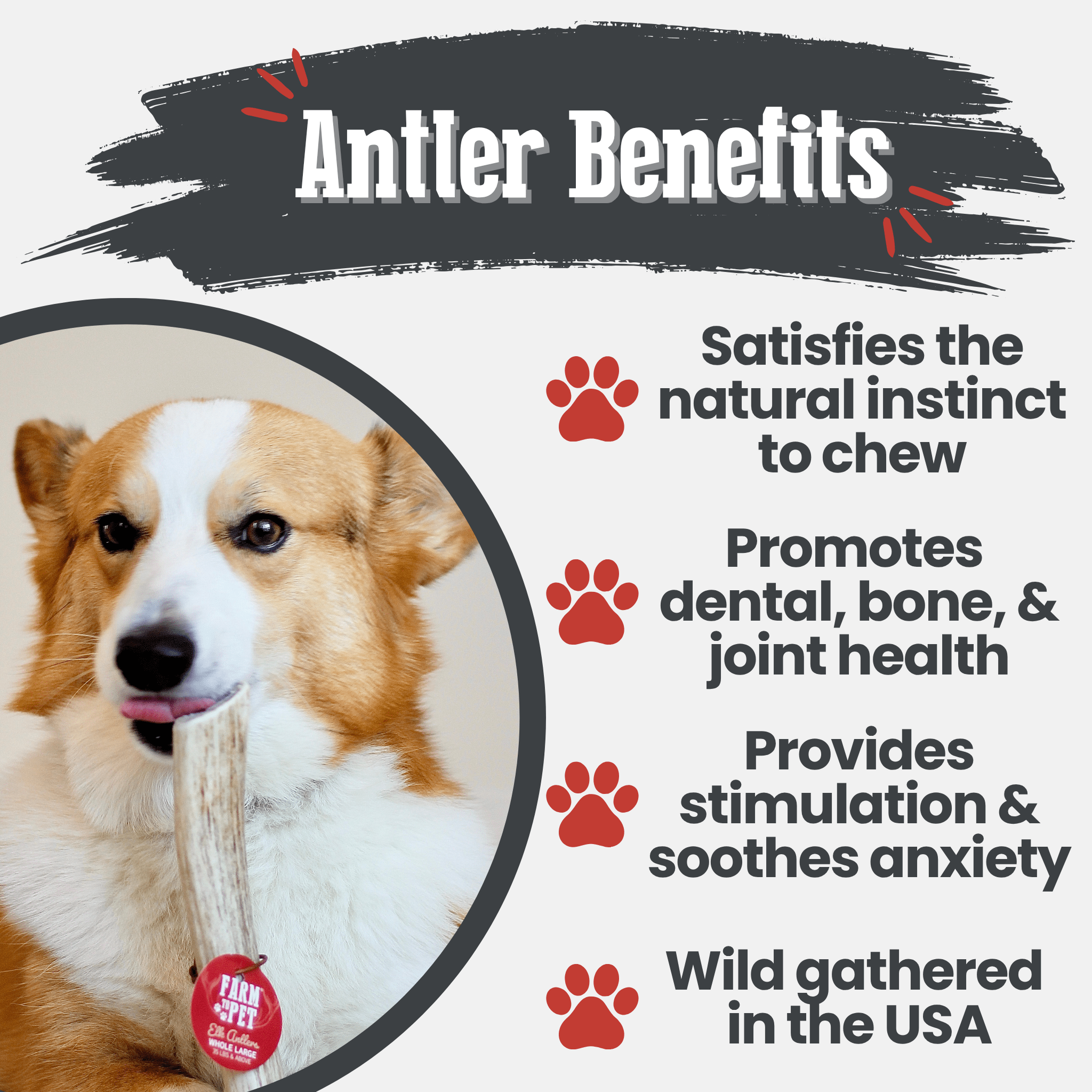 All-Natural Elk Antler Chews for Dogs