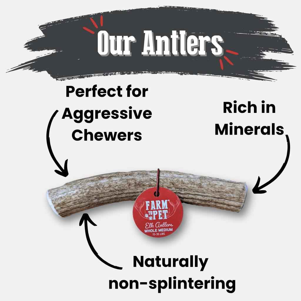All-Natural Elk Antler Chews for Dogs