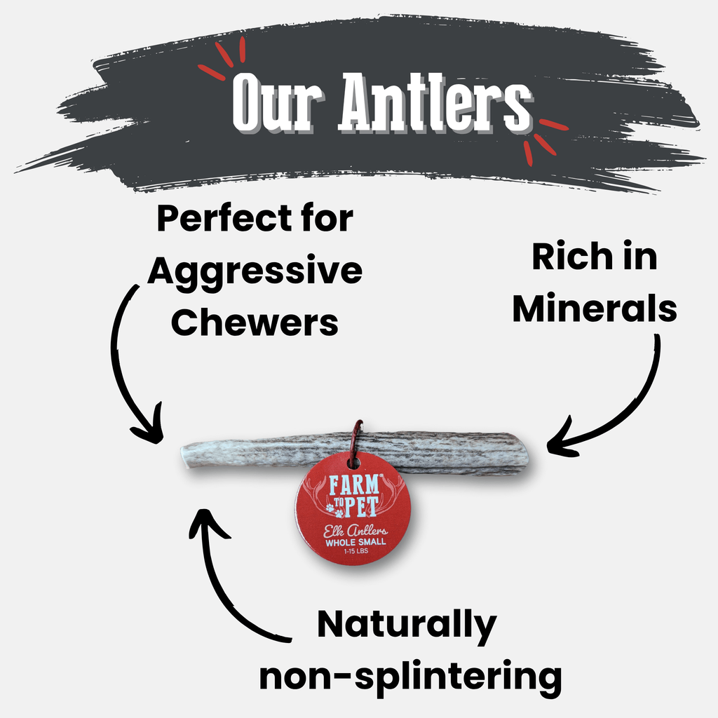 All-Natural Elk Antler Chews for Dogs