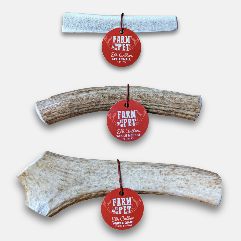 All-Natural Elk Antler Chews for Dogs