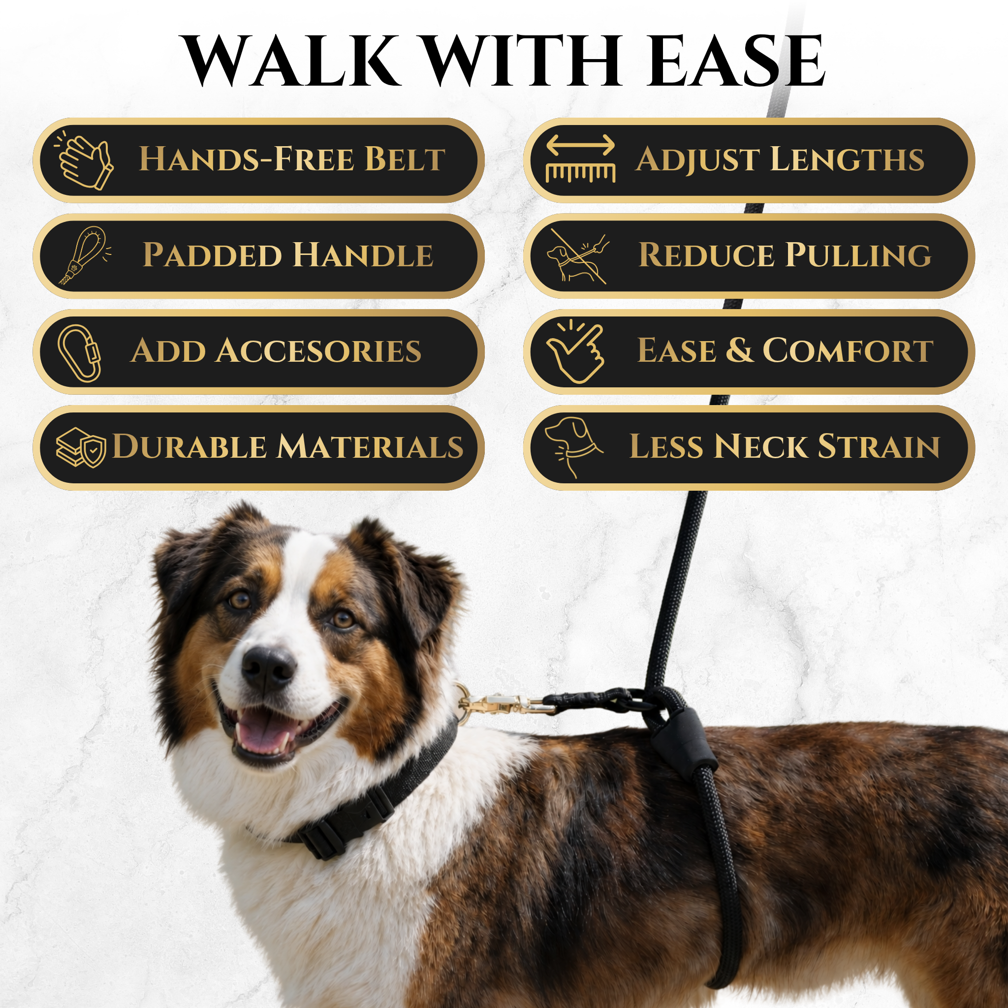 Hands-Free No-Pull Dog Leash
