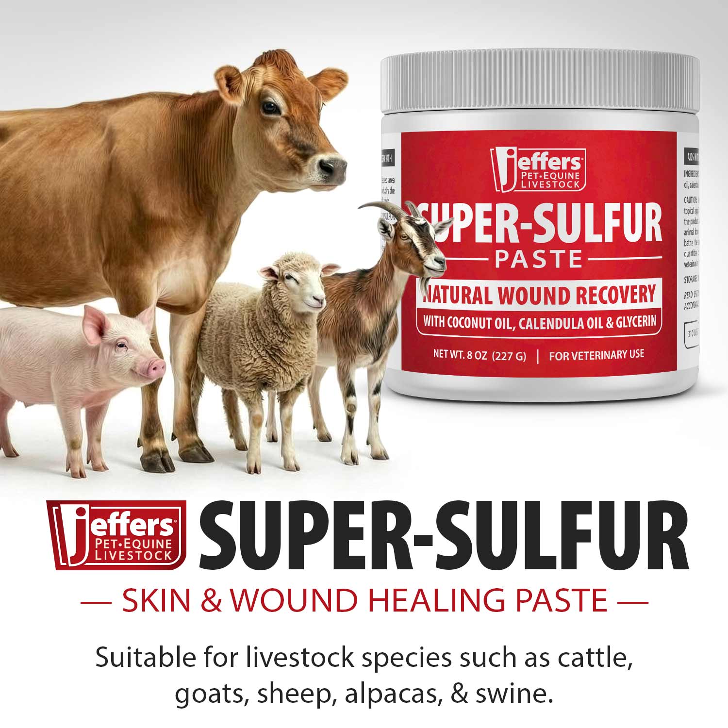 Sulfur Skin & Wound Healing Paste for Pets