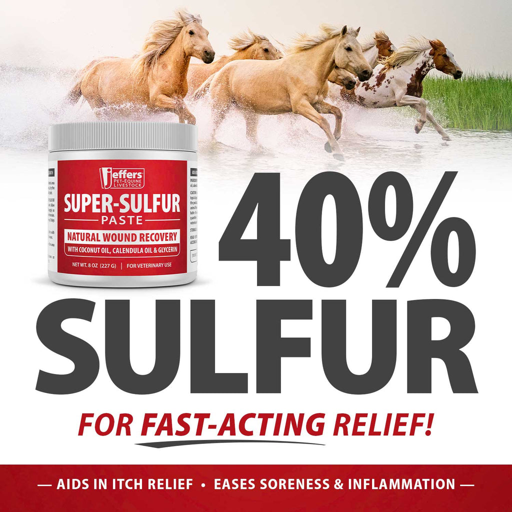 Sulfur Skin & Wound Healing Paste for Pets