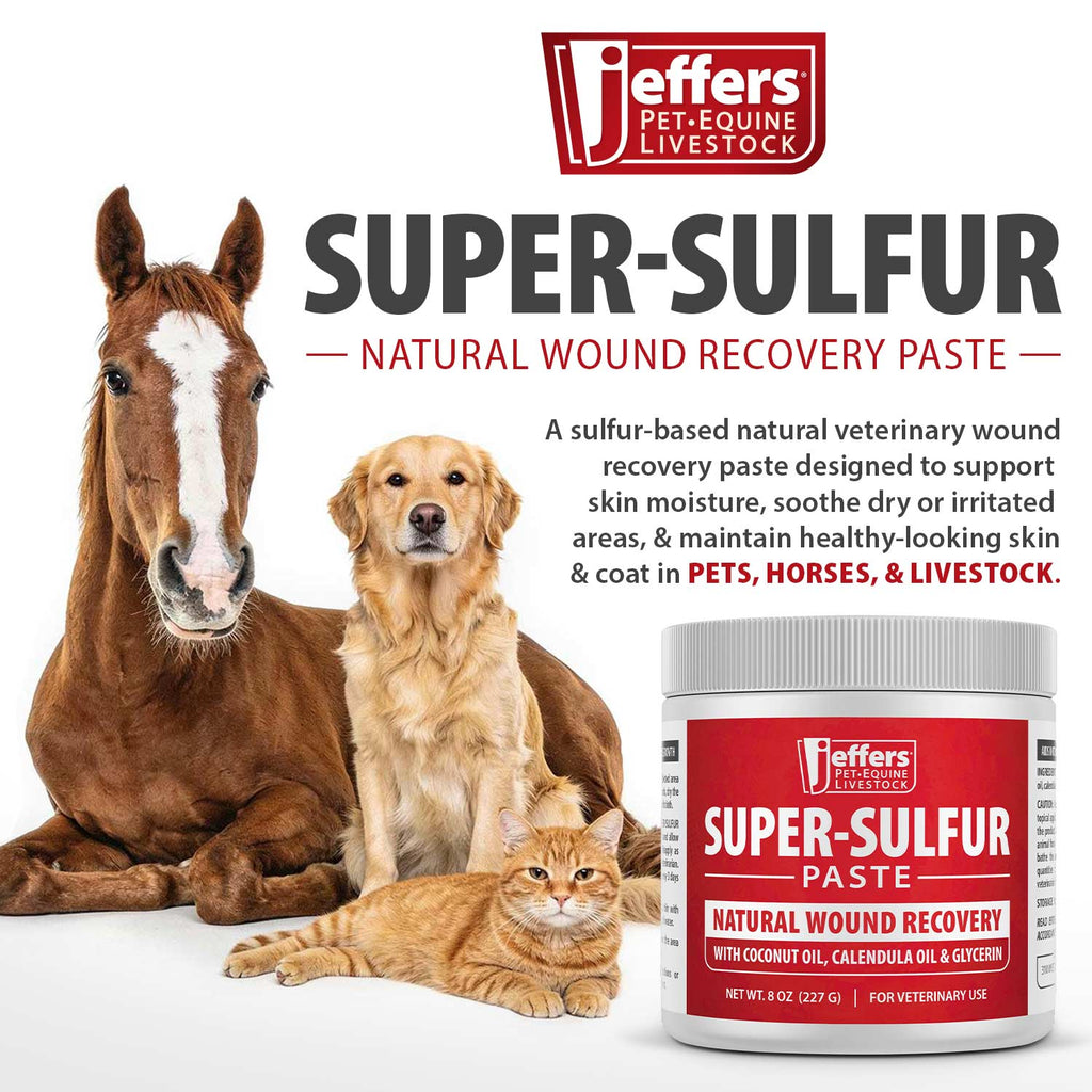 Sulfur Skin & Wound Healing Paste for Pets