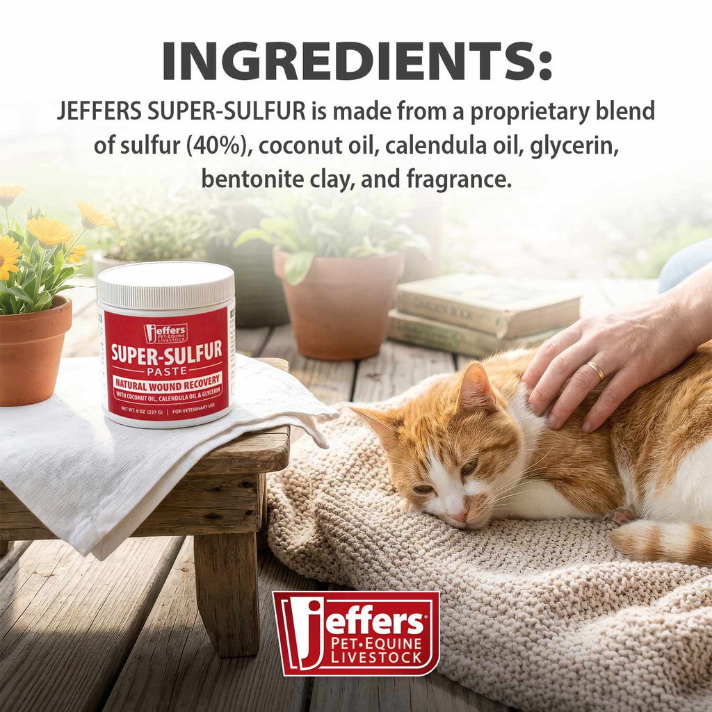 Sulfur Skin & Wound Healing Paste for Pets