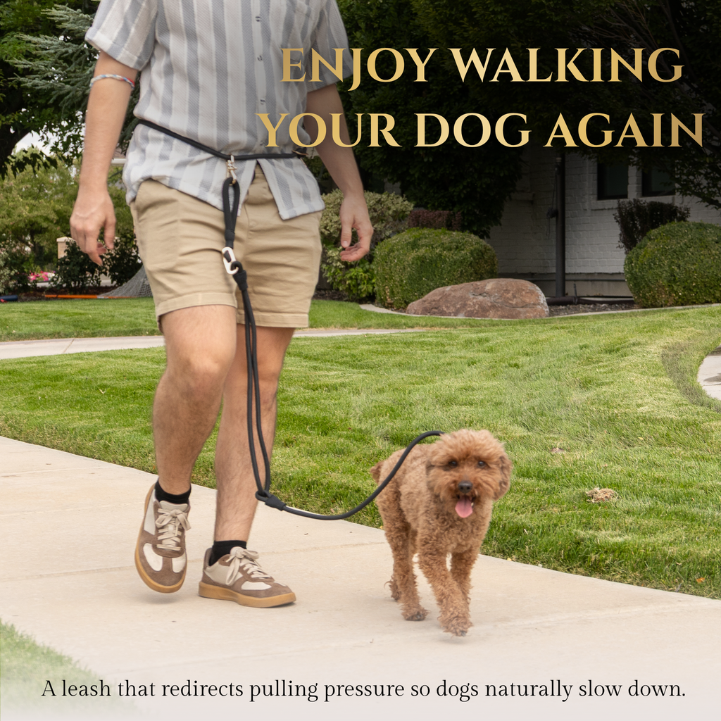 Hands-Free No-Pull Dog Leash
