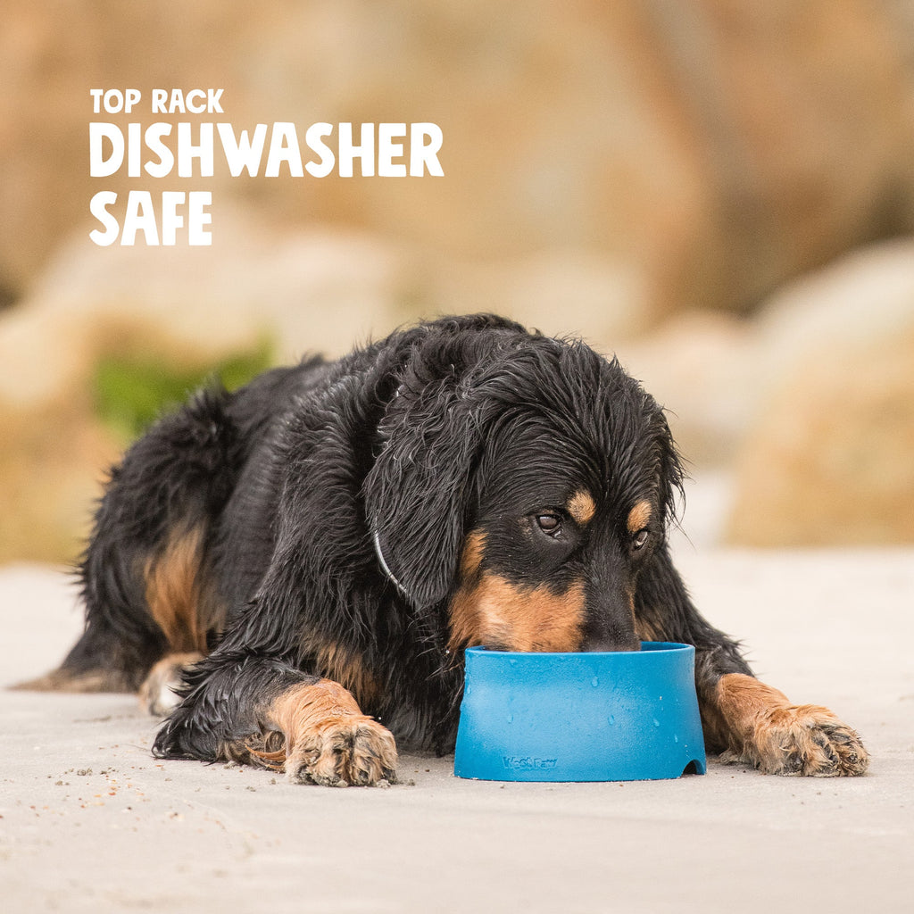 Non-Slip Pet Bowl for Dogs & Cats