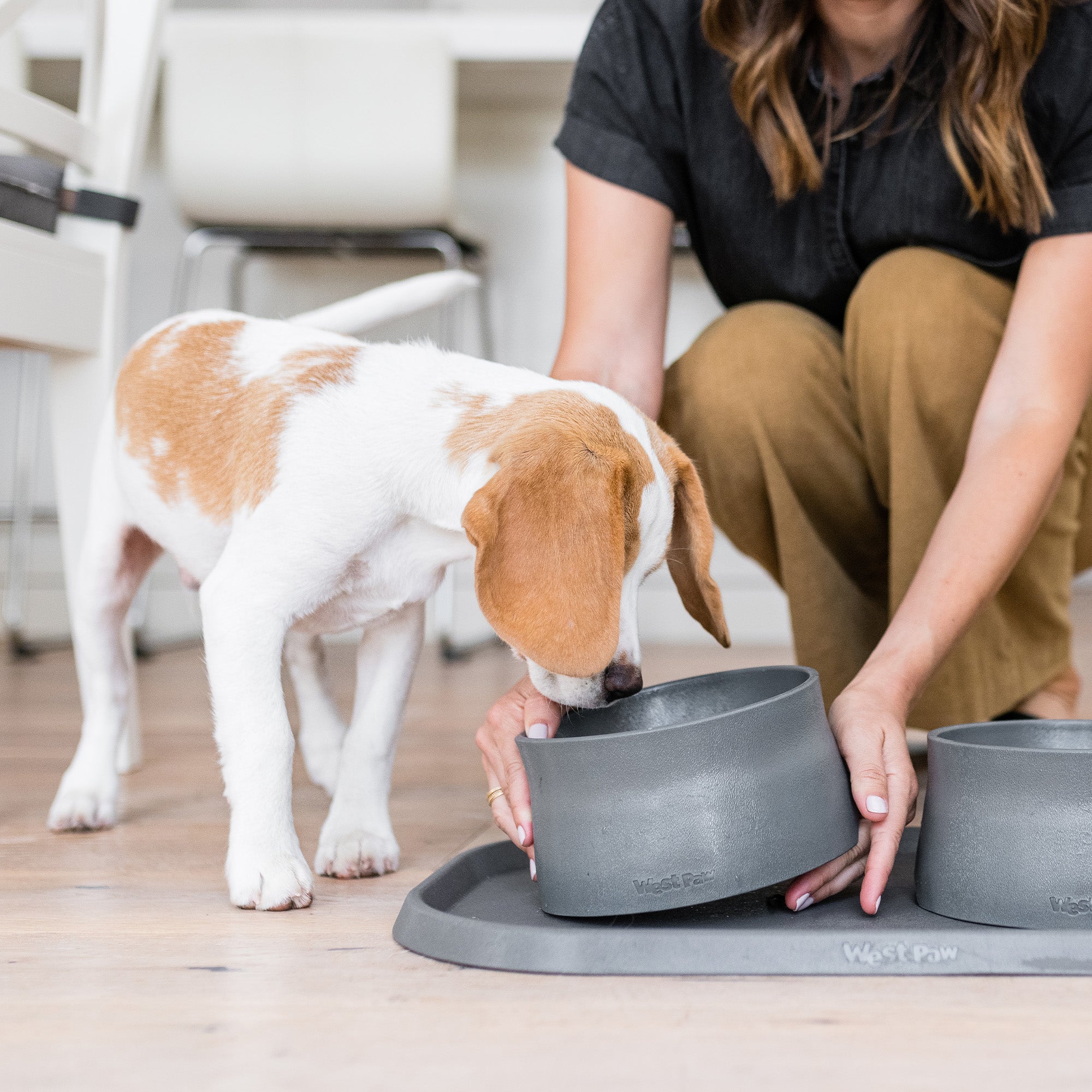 Non-Slip Pet Bowl for Dogs & Cats