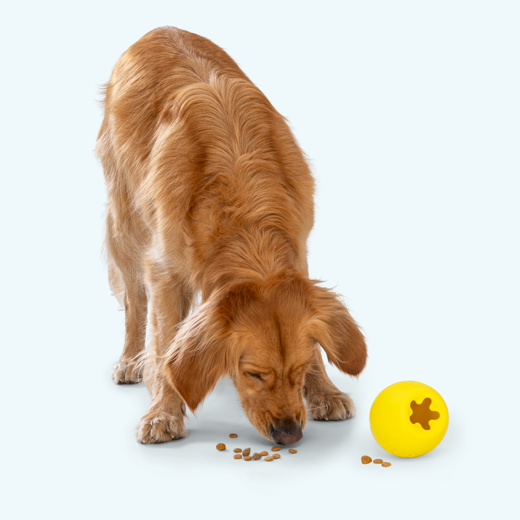 Rumbl Wobble Treat Toy for Dogs
