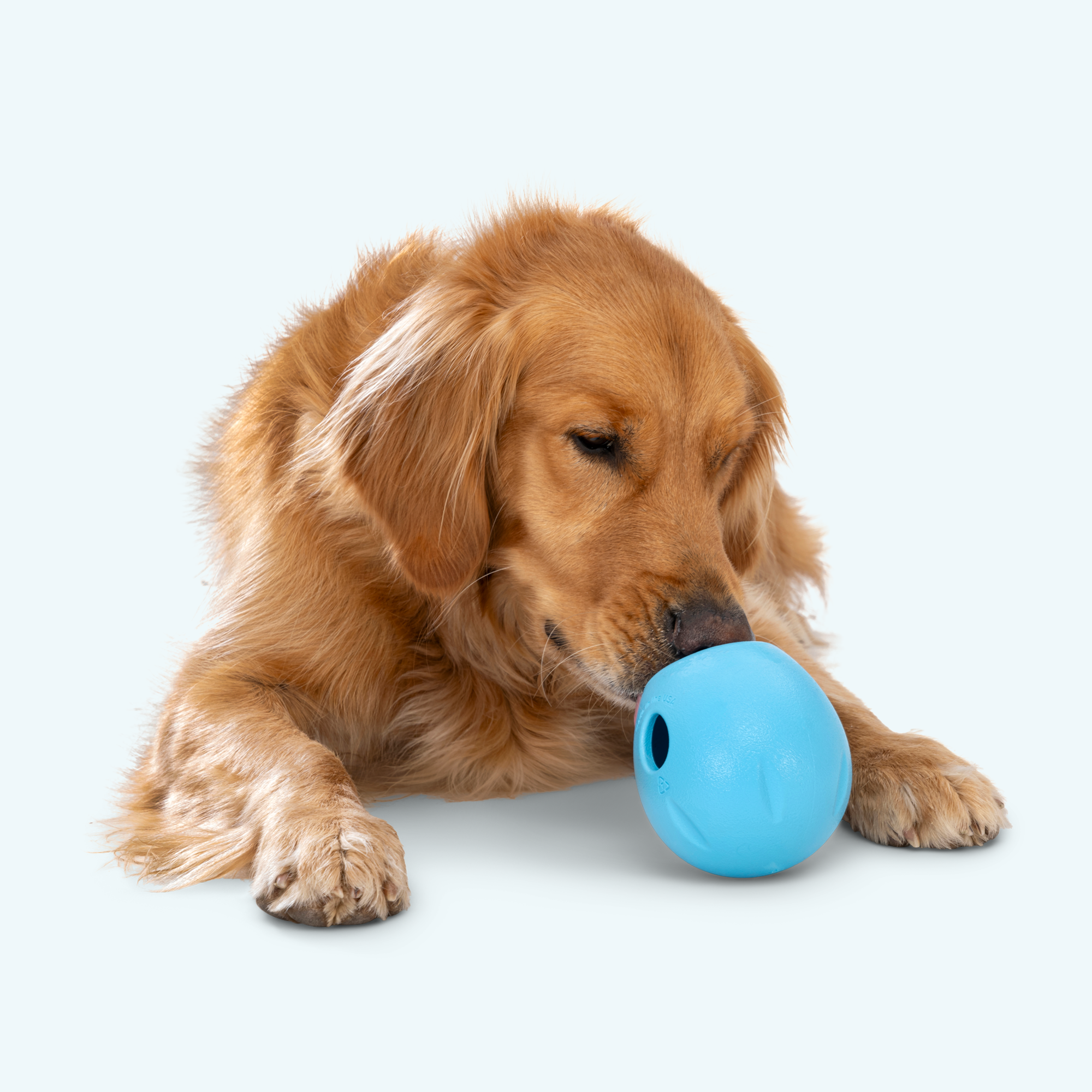 Rumbl Wobble Treat Toy for Dogs