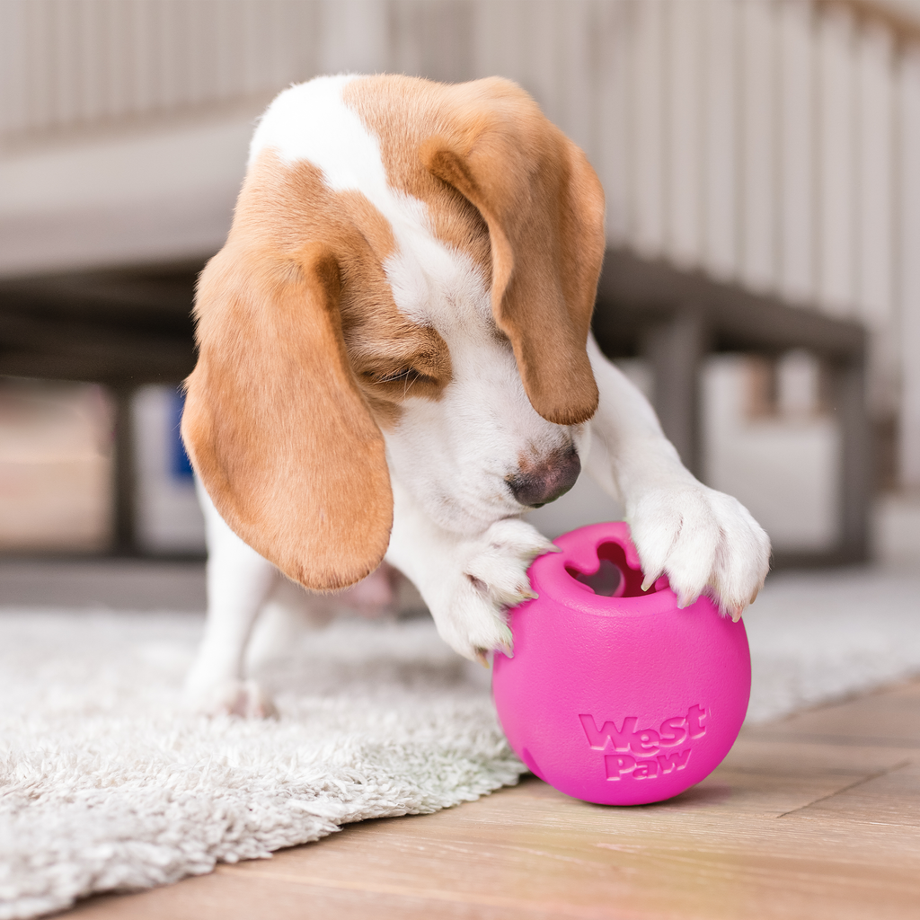 Rumbl Wobble Treat Toy for Dogs